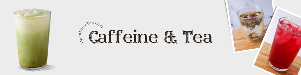 Understanding Caffeine in Tea | Debunking Myths and Exploring Differences