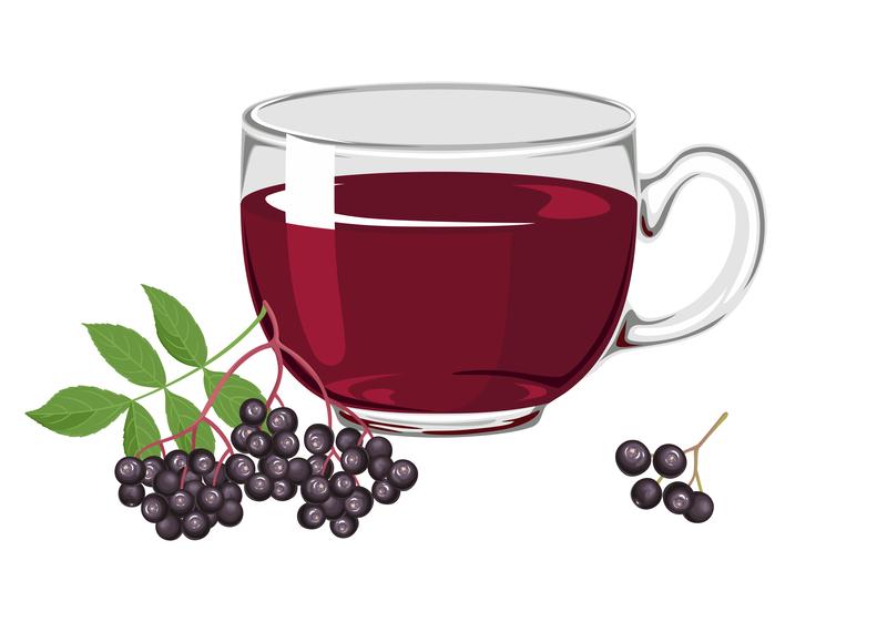 What You Need to Know About Drinking Elderberry Tea Open Door Tea CT
