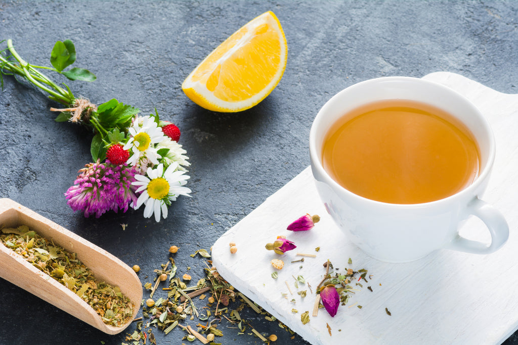 Best Tea Ingredients for Improving Immune System Health