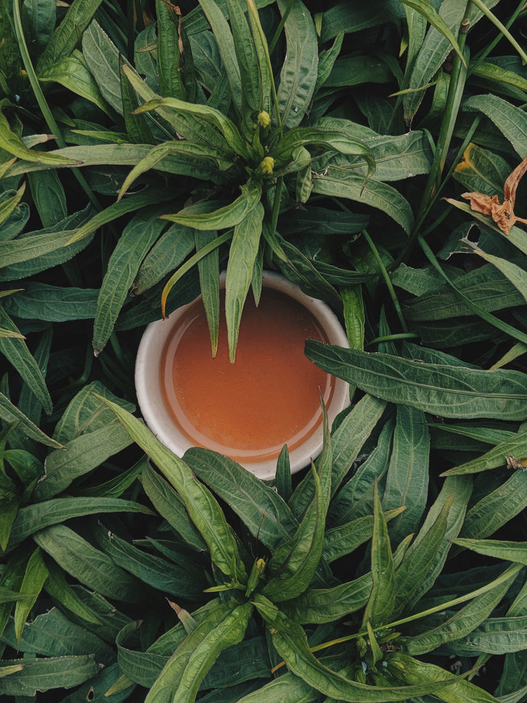 What is Single Origin Tea?