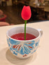 Tip-Top Tulip Steeper - Open Door Tea CT