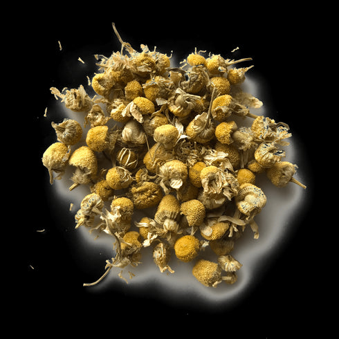 Chamomile Flowers - Open Door Tea CT