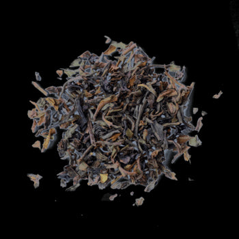 Free Tea Samples - Open Door Tea CT