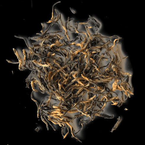 Golden Monkey - Open Door Tea CT