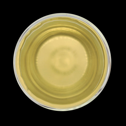 Green Tranquility Maofeng - Open Door Tea CT