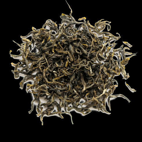 Green Tranquility Maofeng - Open Door Tea CT