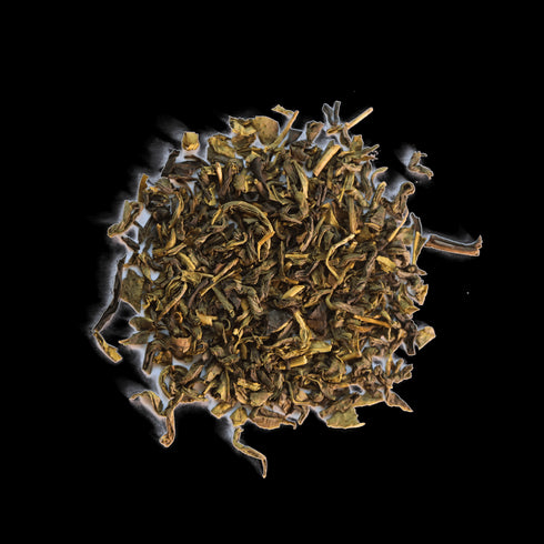 Jasmine Dragon - Open Door Tea CT