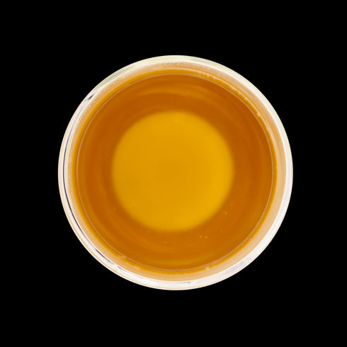 Jasmine Rose - Open Door Tea CT