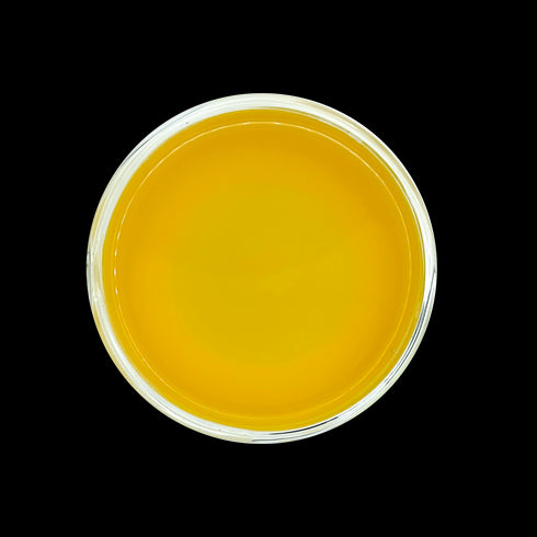 Turmeric Dawn - Open Door Tea CT
