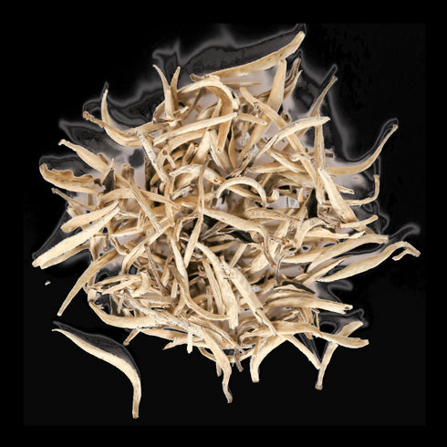 Silver Needle - Open Door Tea CT